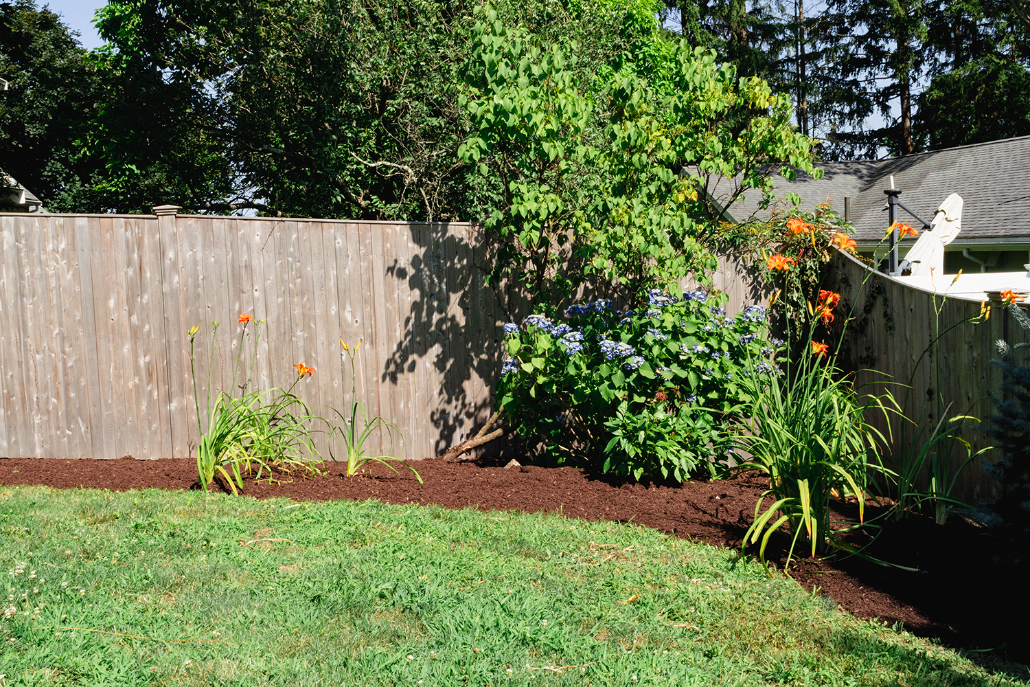 lawn care services