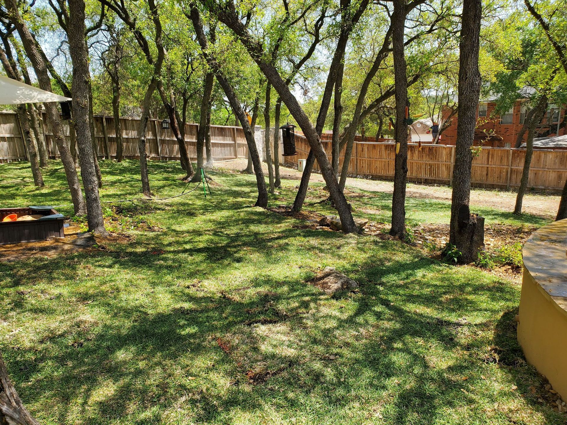 Green yard with trees, fences, and sunlight.