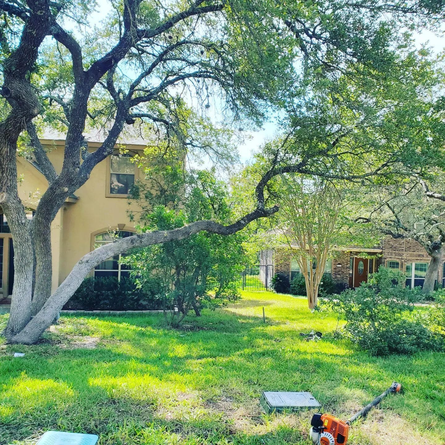 A lawn mower on green grass in a yard with a large tree in front of a house.