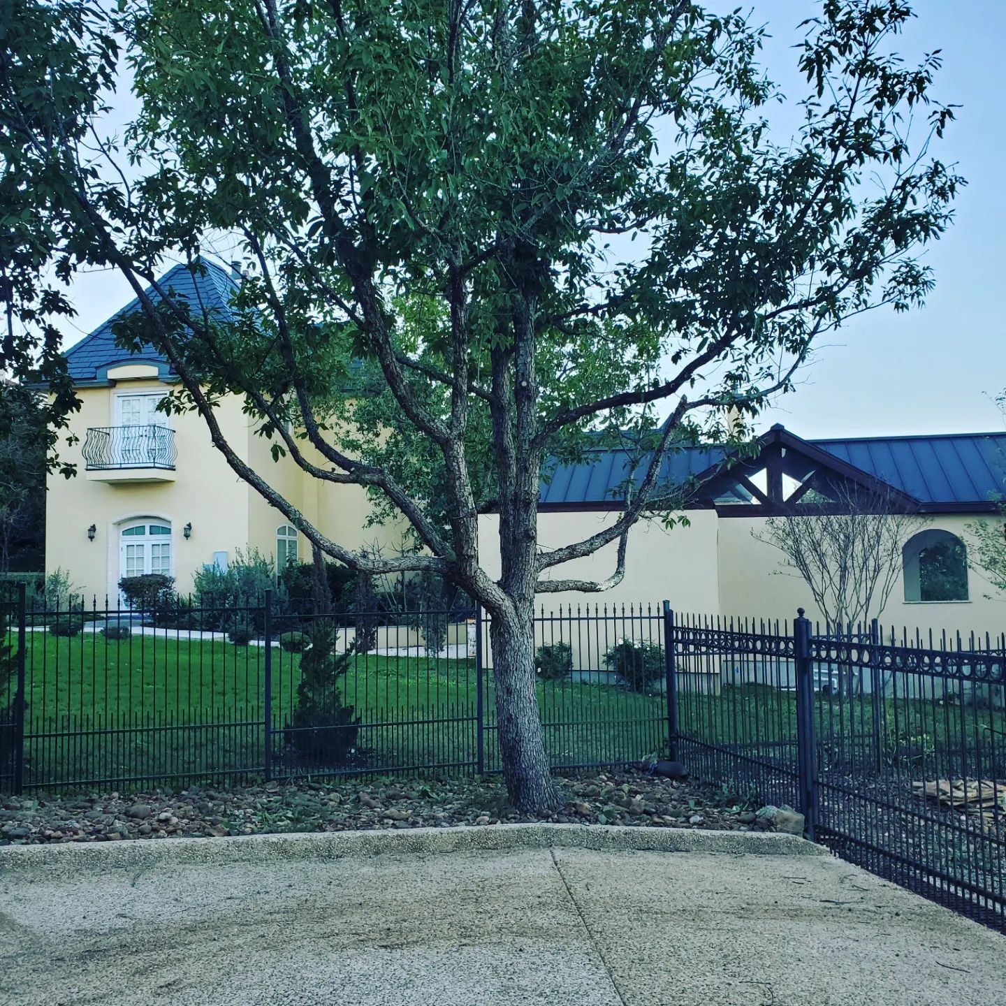 Yellow stucco house with dark blue roof, black fence, and tree.