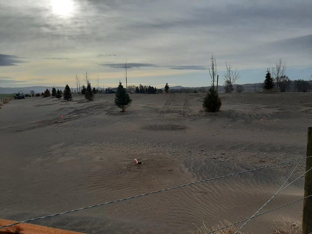 before-ground-breaking