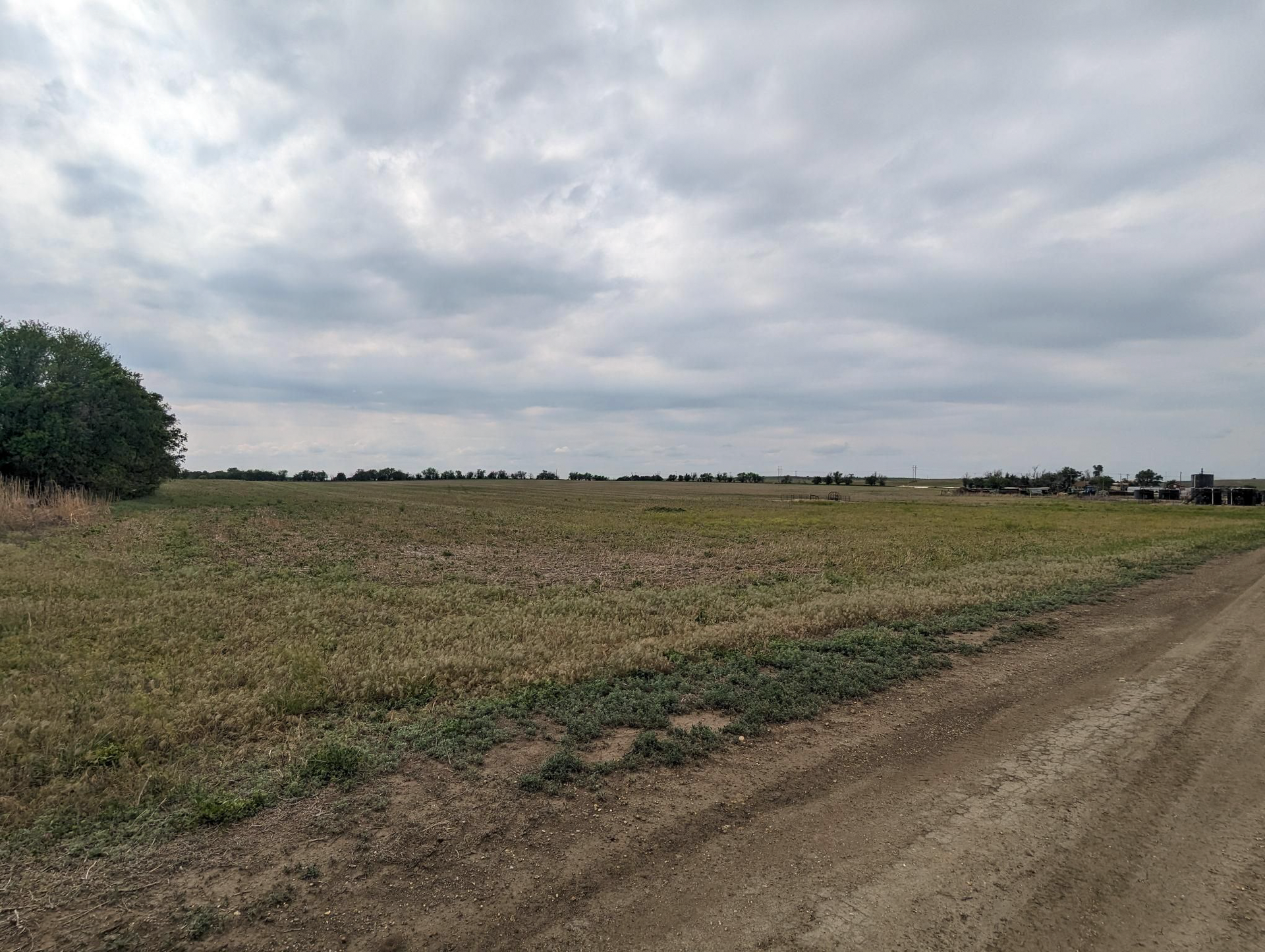 There is a dirt road going through a field.