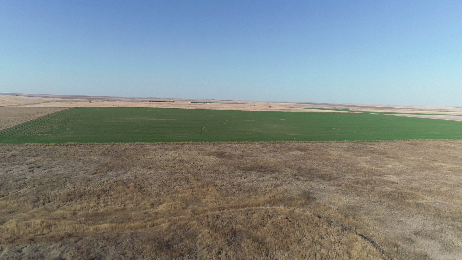 An aerial view of a large green field in the middle of a desert.