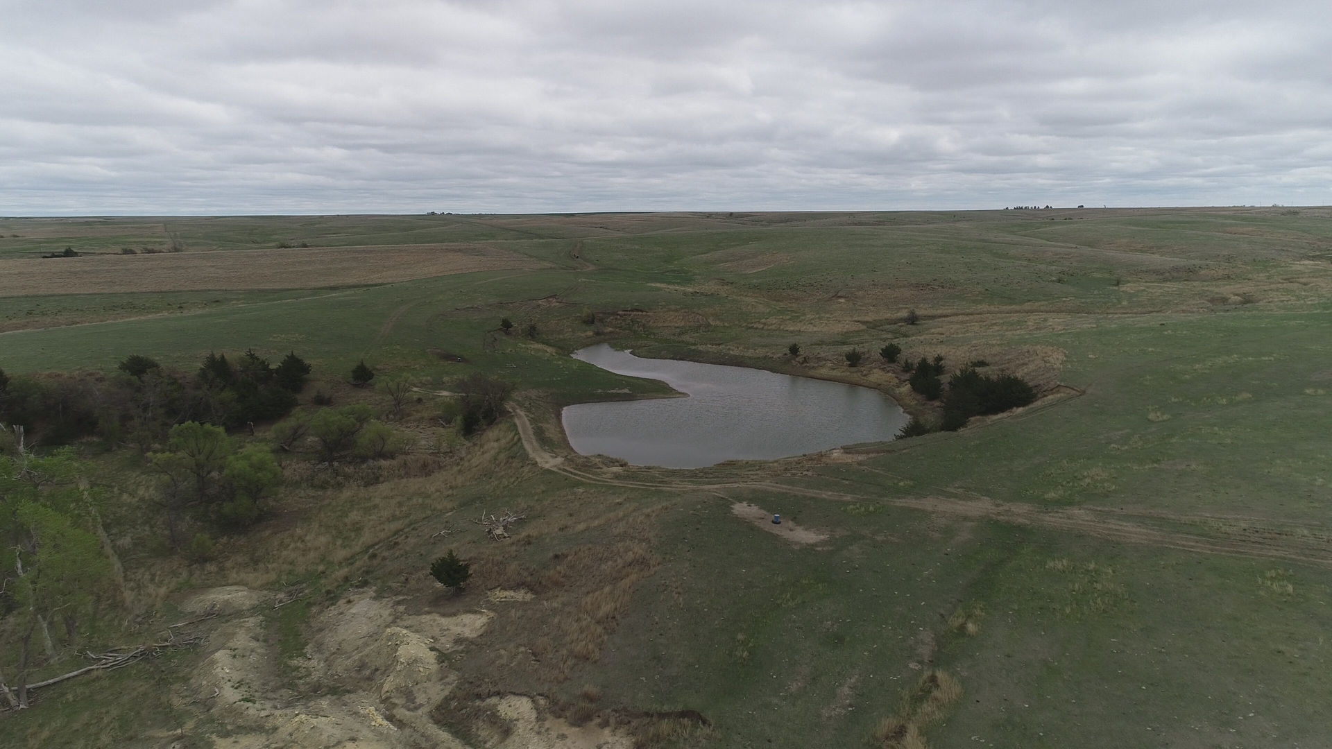 An aerial view of a small pond in the middle of a grassy field.
