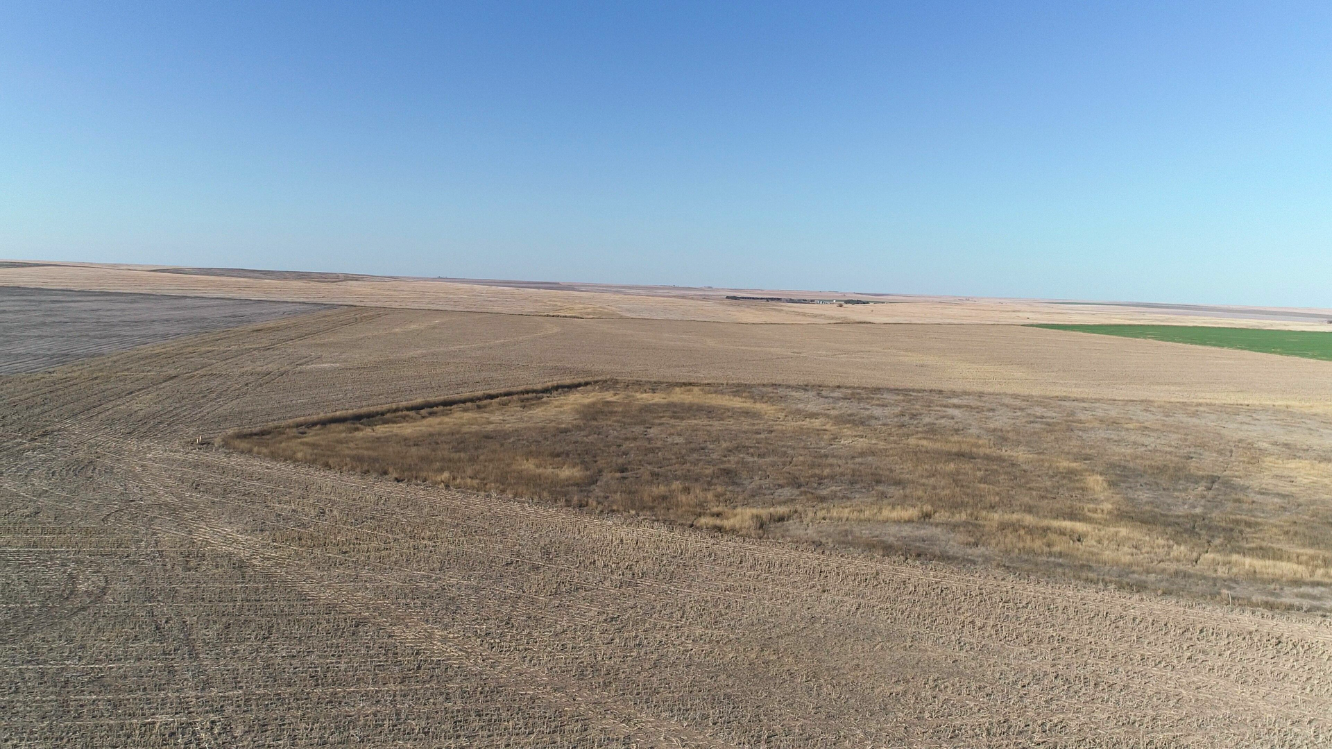 A large dry field with a blue sky in the background.