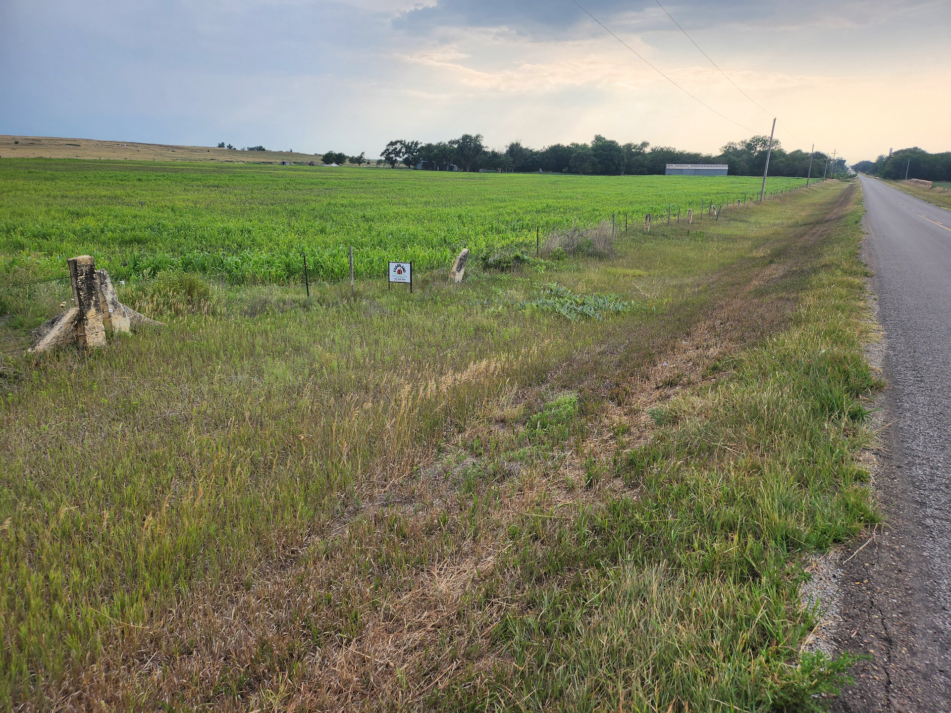 A dirt road going through a grassy field.