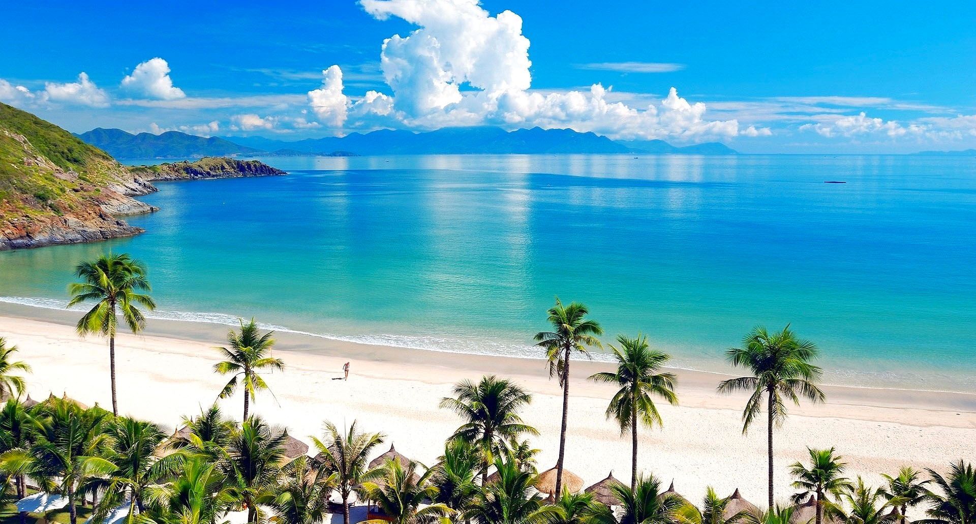 Un hombre y una mujer caminan por una playa con palmeras.