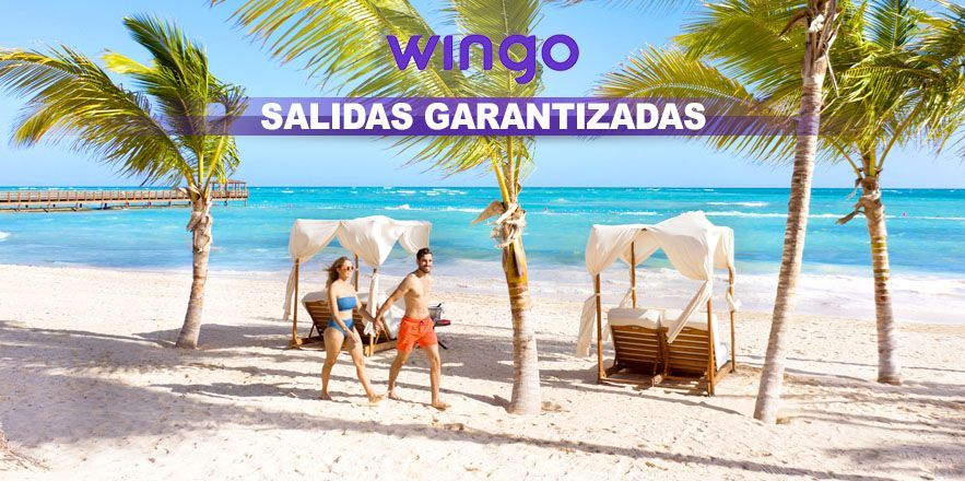 Un hombre y una mujer caminan por una playa con palmeras.