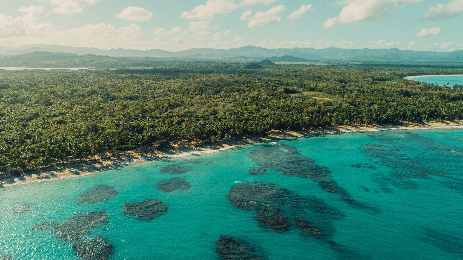 Un hombre y una mujer caminan por una playa con palmeras.