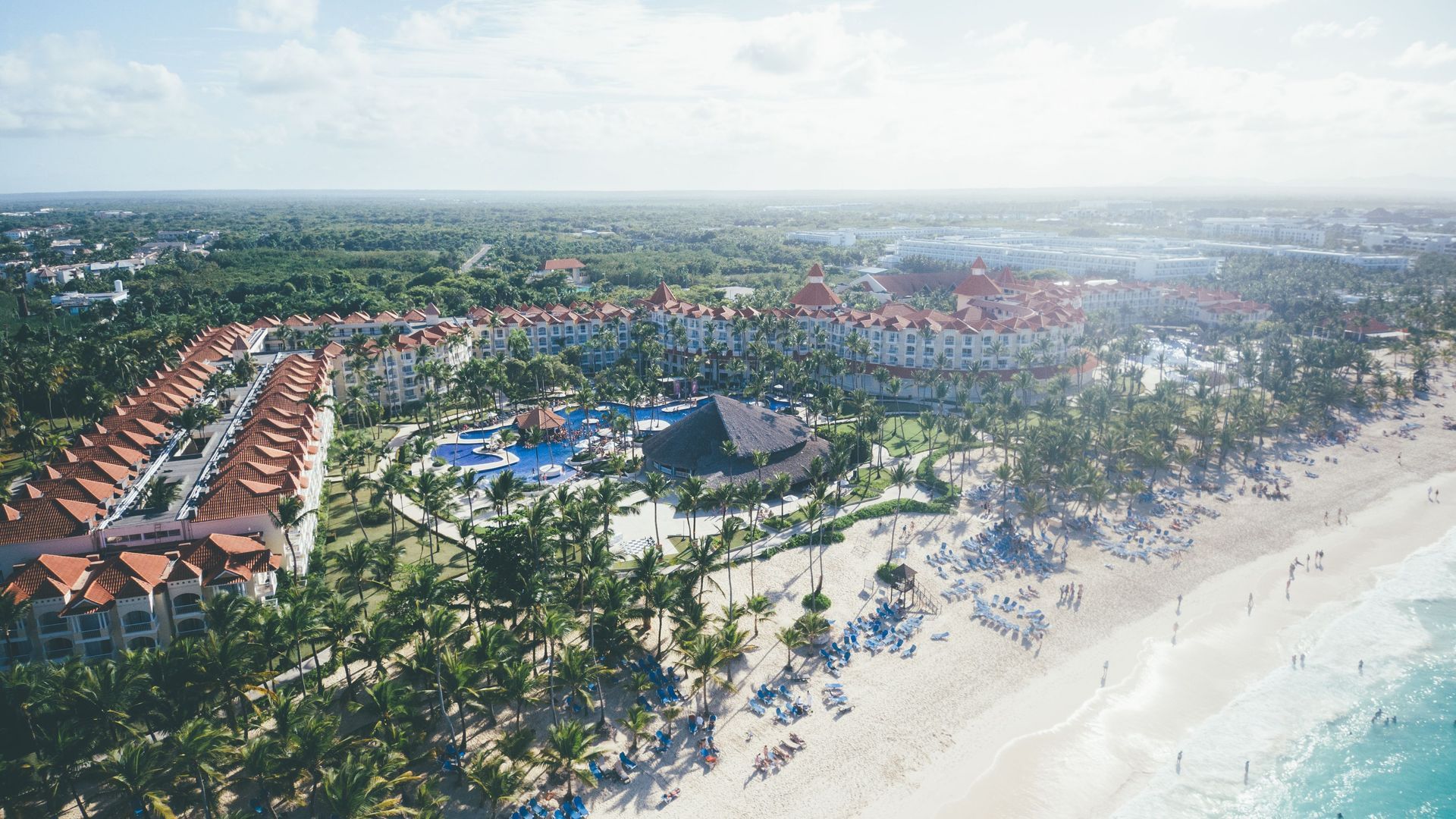 Un hombre y una mujer caminan por una playa con palmeras.