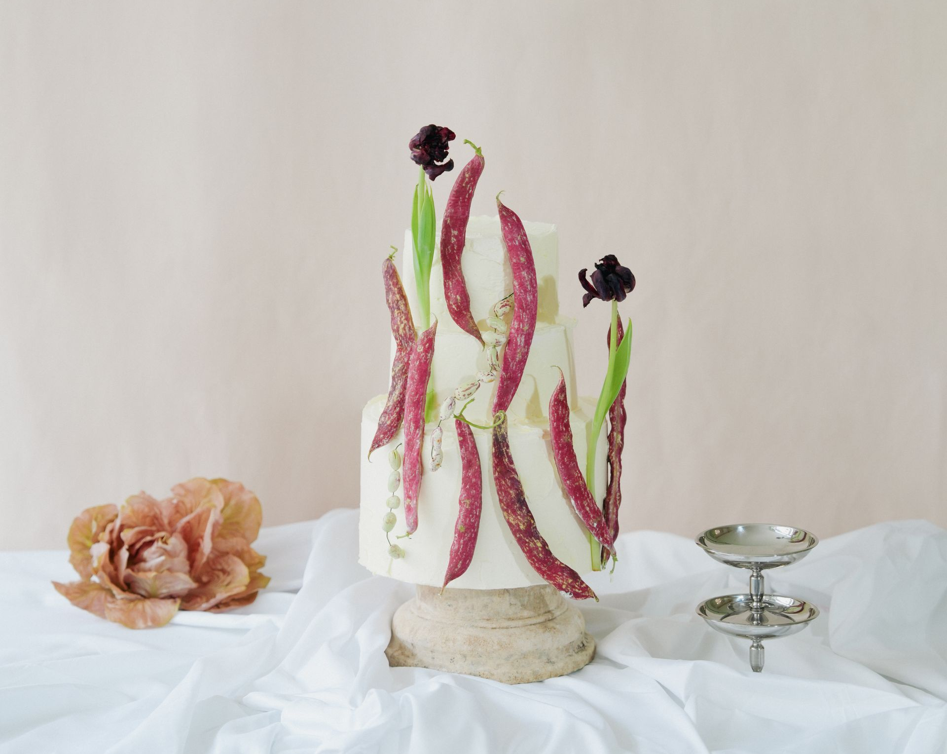 Nuun Cakes London brand campaign by REGO Creative
