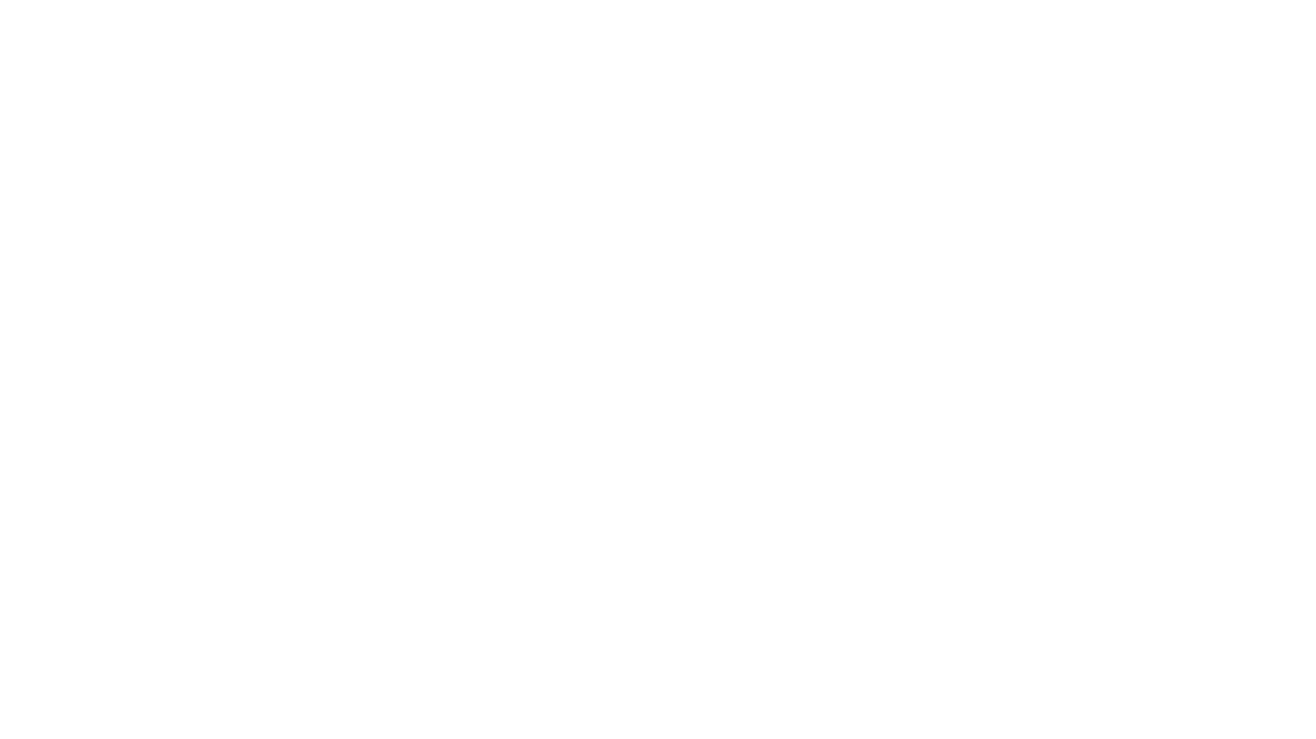 A white, thin-lined logo with two surfboards, the text ocean surf, and YORK BEACH COLLECTION inside a hexagonal frame.