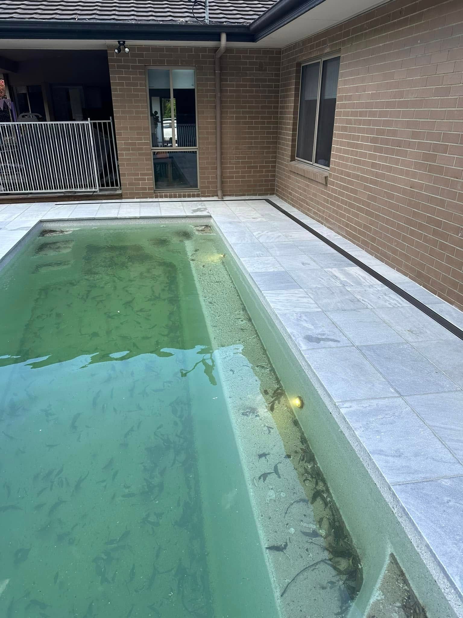 A neglected pool filled with green water and debris, next to a brick building. — East Coast Paving in Seaham, NSW
