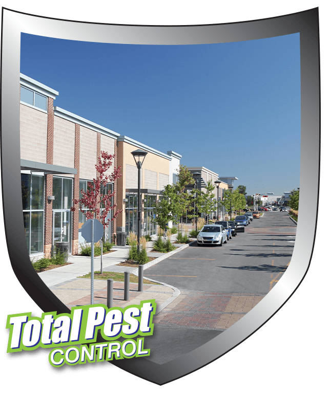 commercial area