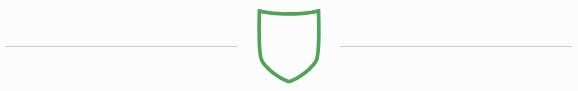 shield icon