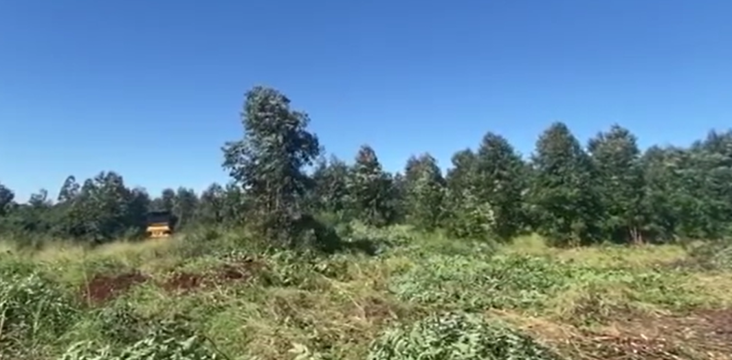 A Bulldozer Is Clearing Vegetation In A Field With Trees — Greenslade's Dozer & Excavator Hire Pty Ltd In Taabinga, QLD