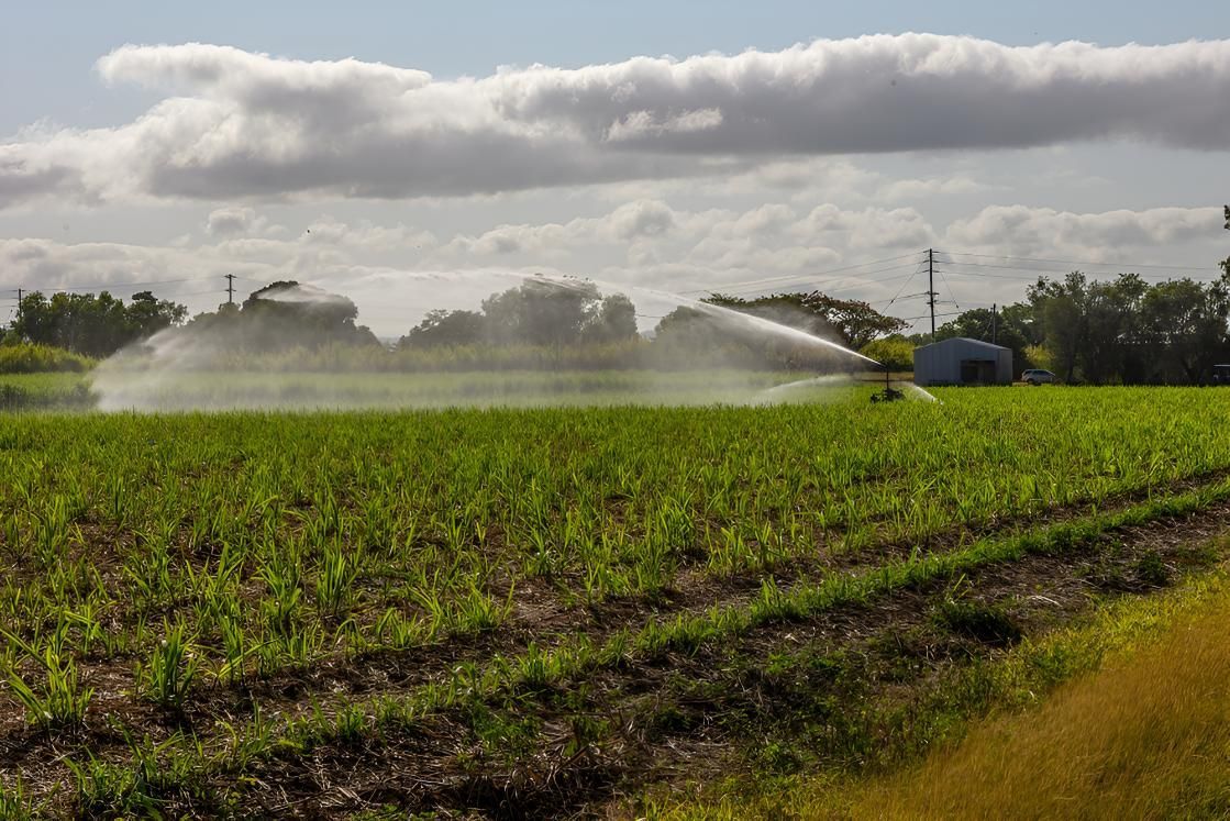 A Sprinkler Is Spraying Water On A Lush Green Field — Greenslade's Dozer & Excavator Hire Pty Ltd In Durong, QLD