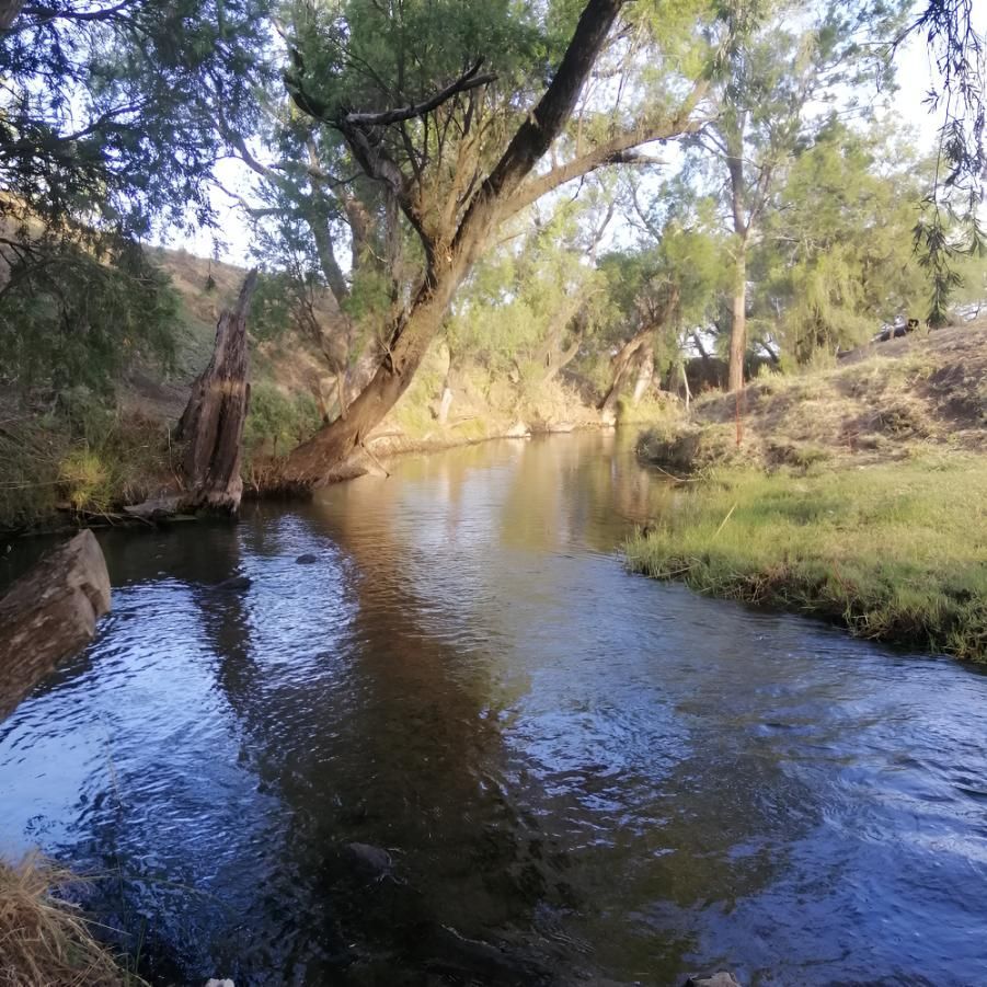 A River Flowing Through A Forest With Trees On Both Sides — Greenslade's Dozer & Excavator Hire Pty Ltd In Nanango, QLD