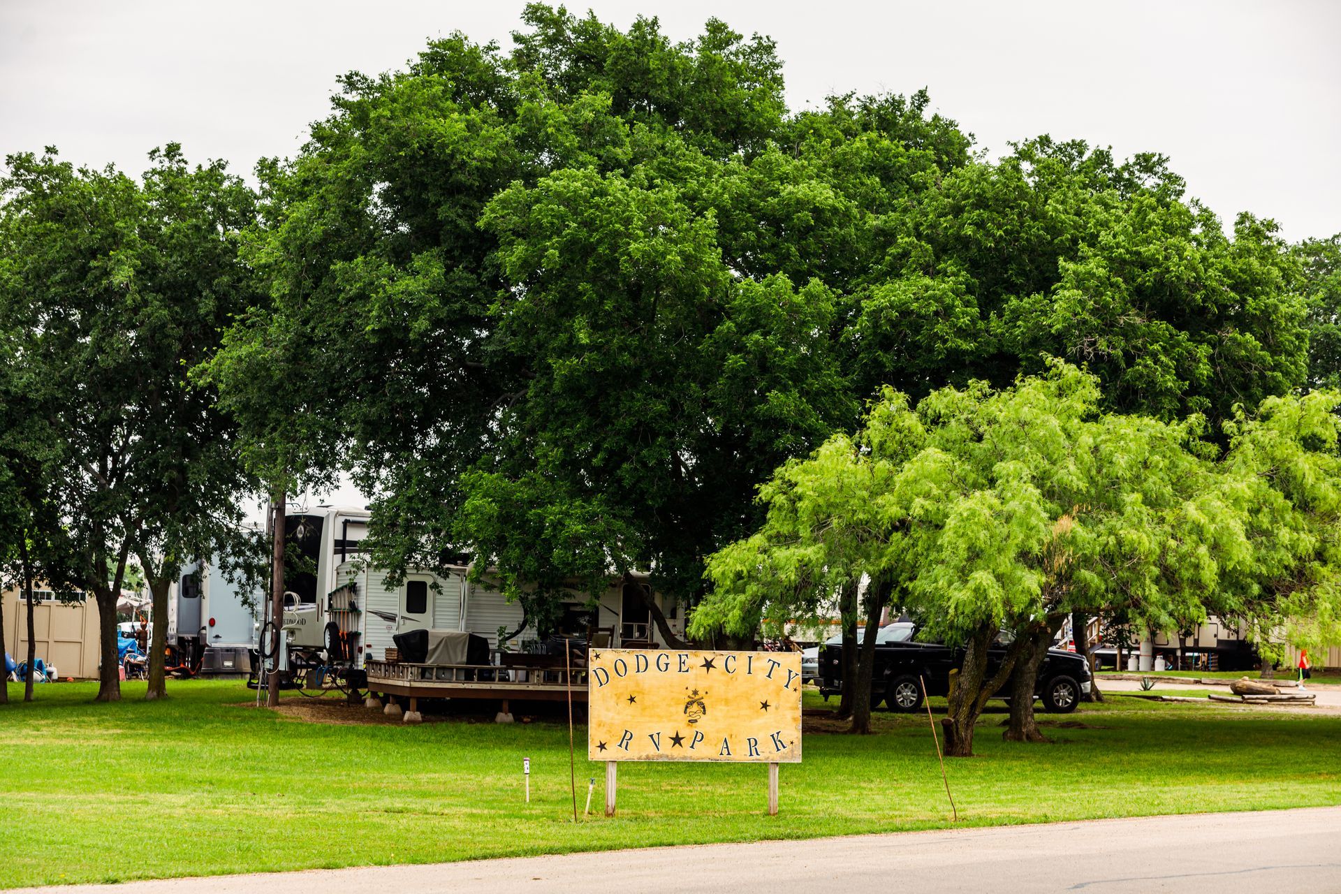 Green park with large trees, a grassy lawn, and a yellow sign near a paved path.