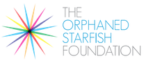 A rainbow colored star on a white background