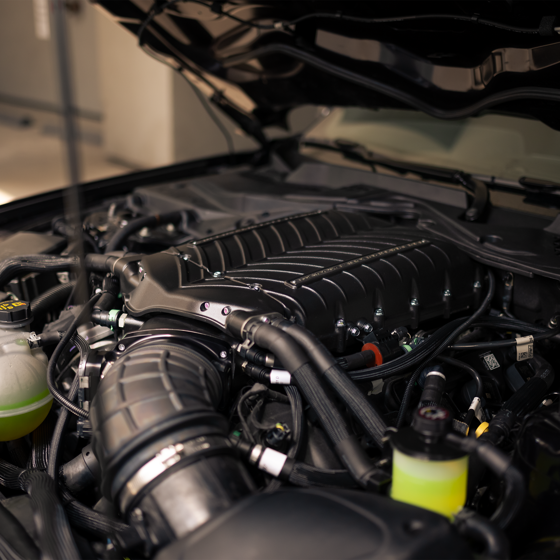 whipple supercharger in mustang