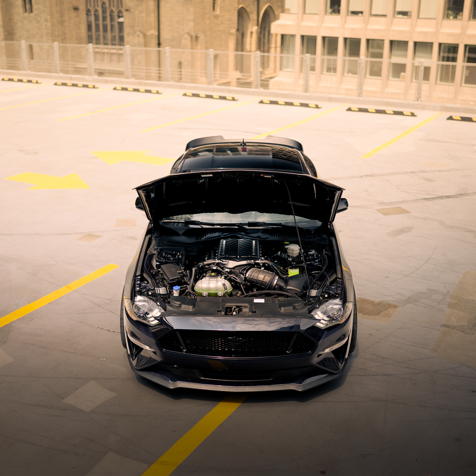 Ford Mustang with whipple