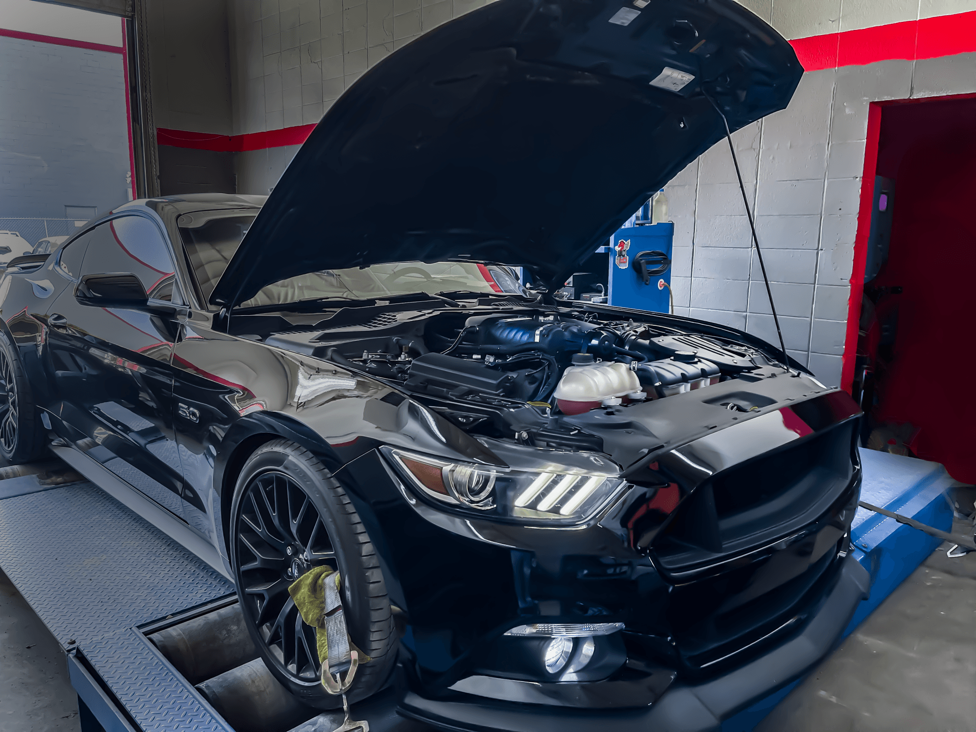 Mustang Dyno and Tuning