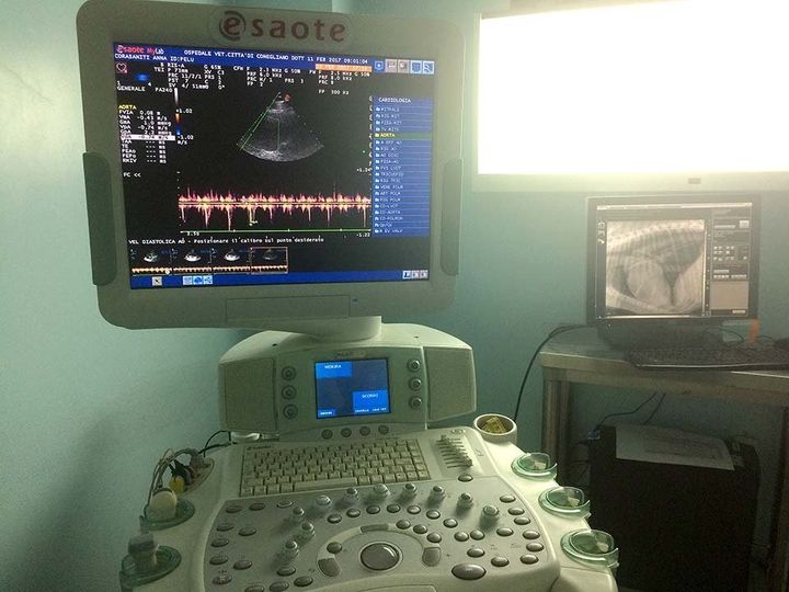 Cardiologia