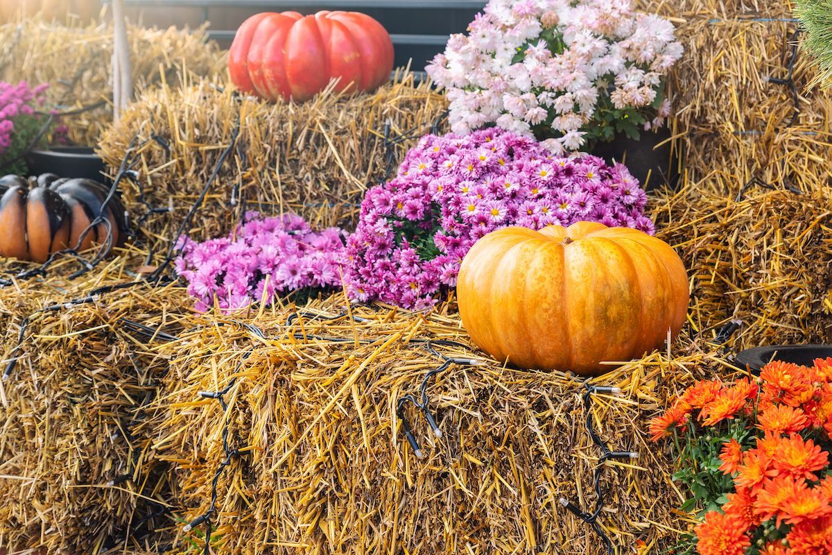 Your Mid-Missouri Landscape Will Be Perfect for Fall With Boulder Creek Lawn & Landscape Services