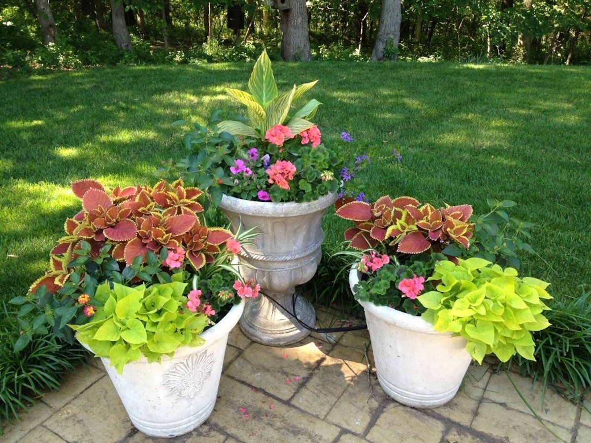 Boulder Creek Lawn & Landscape knows the best fertilizer for your flowers, trees, and garden.
