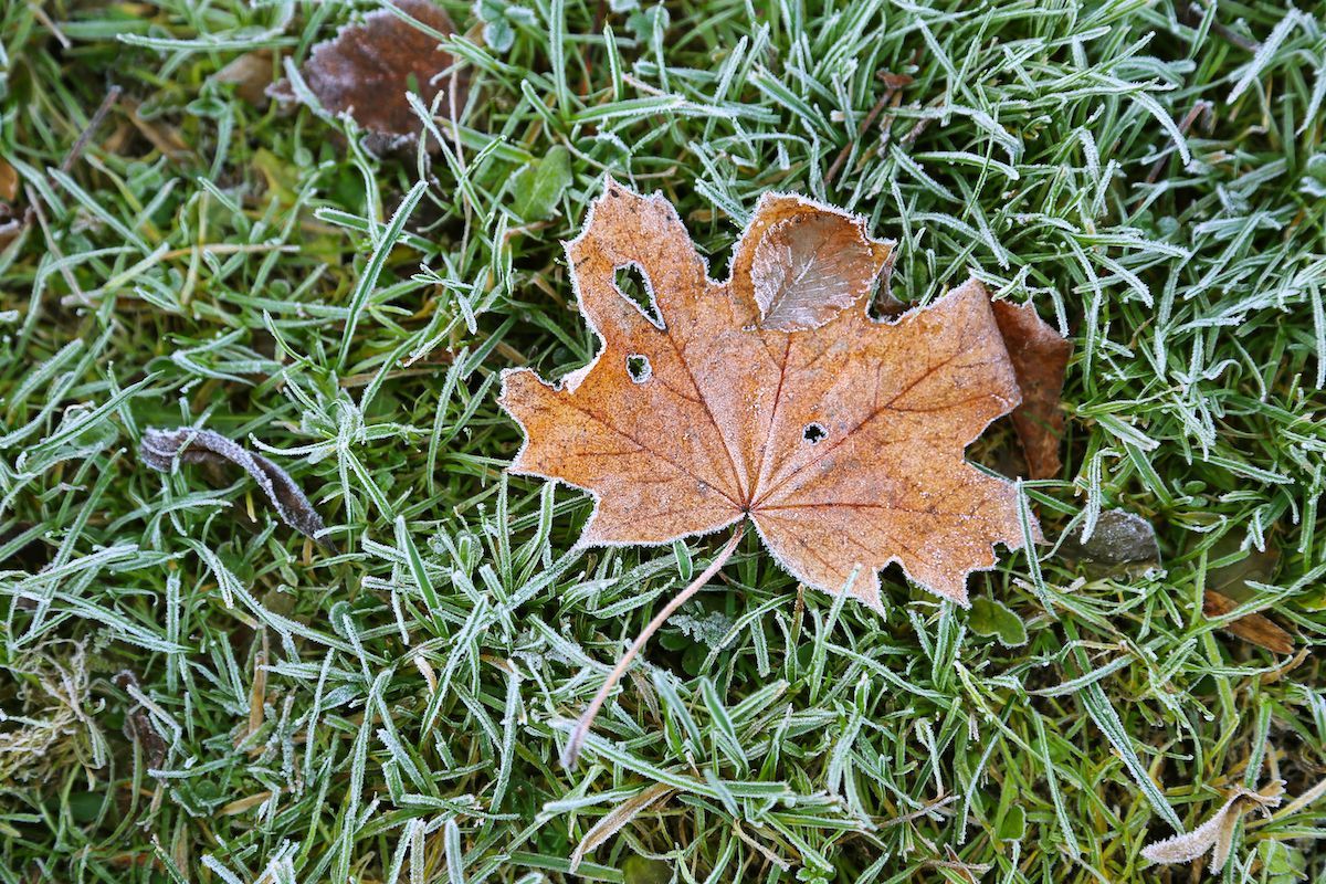 Before Frosty Weather Comes, Winterize Your Mid-Missouri Lawn With Boulder Creek Lawn & Landscape