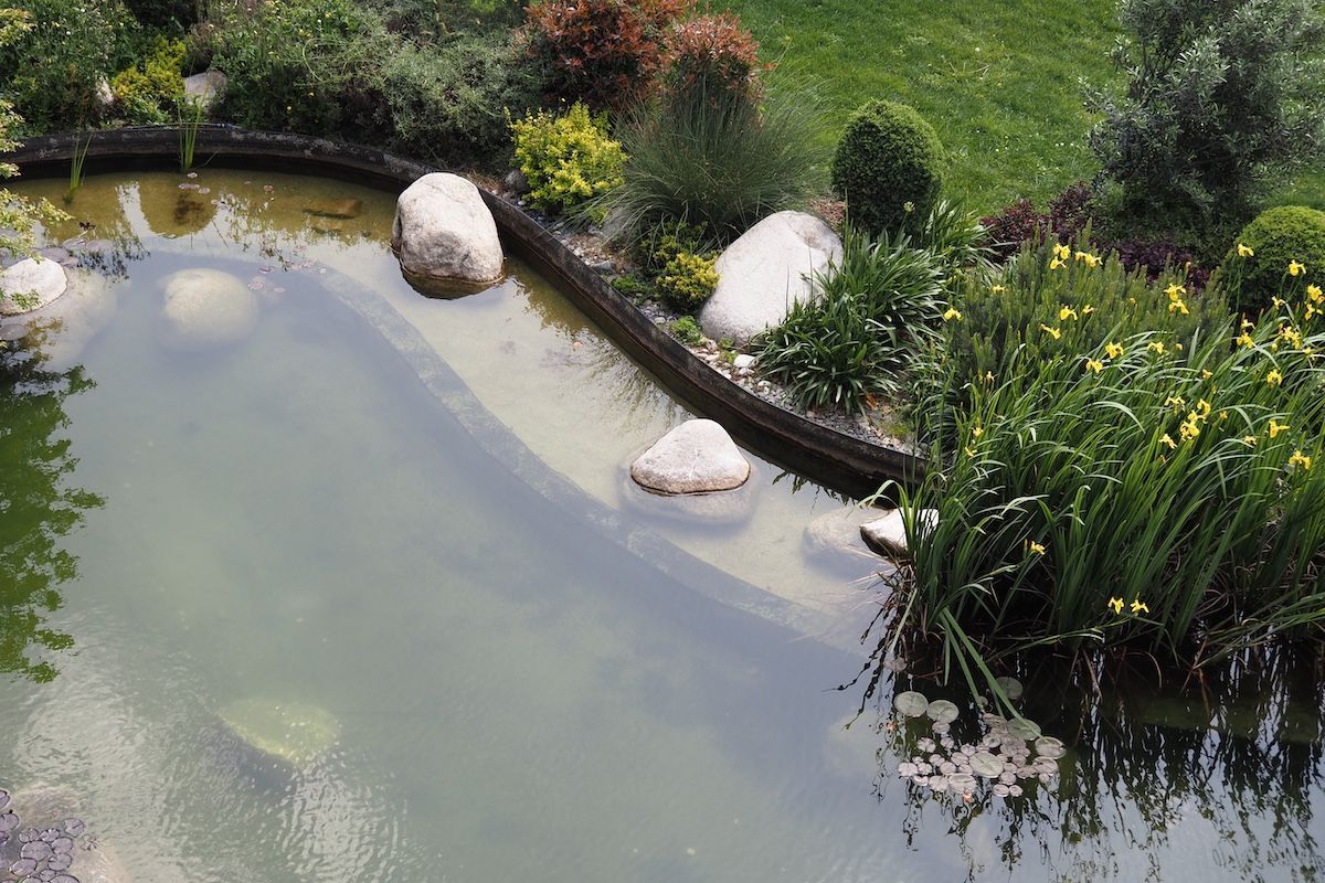 Landscaping Tips for Your Home Pond in Jefferson City