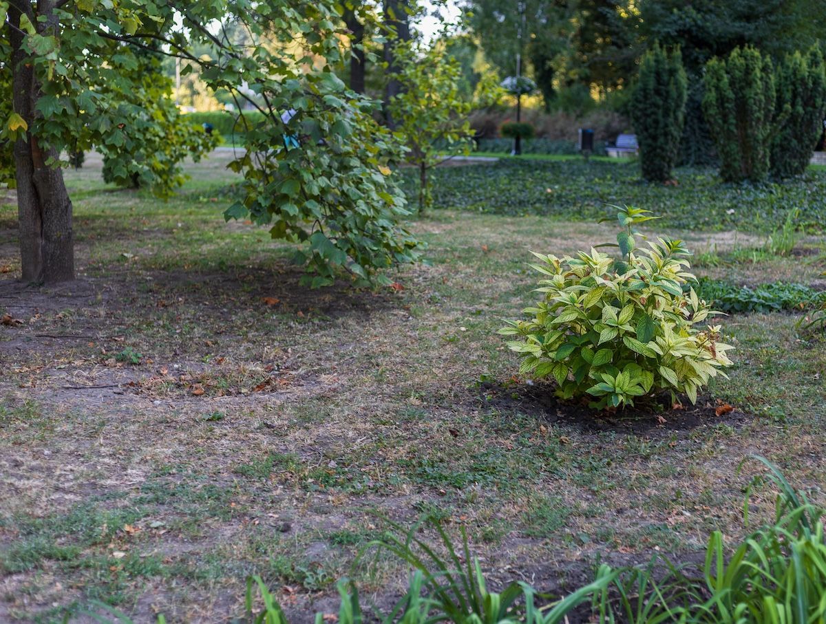 Is Your Jefferson City, MO Landscape Looking Outdated? Call Boulder Creek.