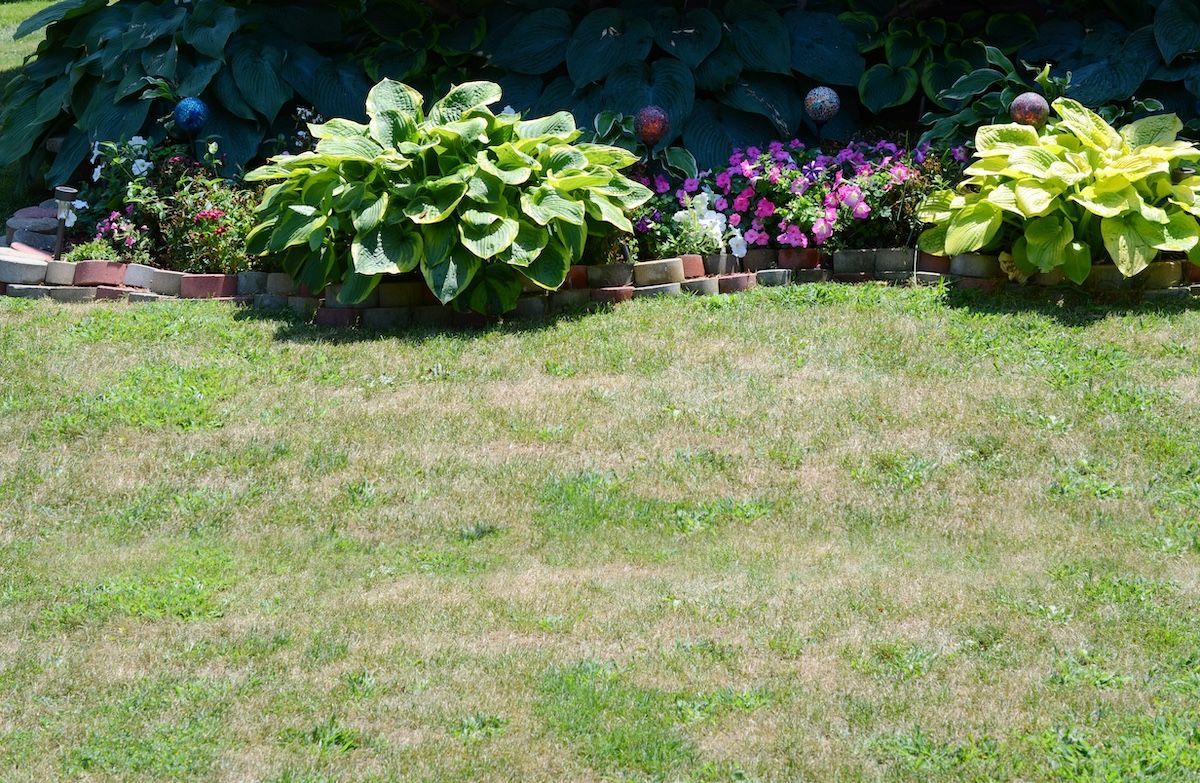 Boulder Creek Lawn & Landscape Will Let You Know If Your Mid-Missouri Lawn Needs Treatment