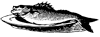 fish icon