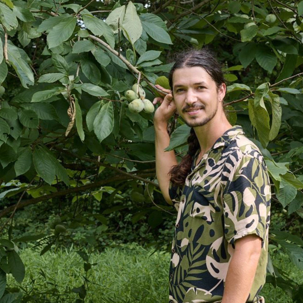 Bodhi Vasilopoulos with pawpaw tree.