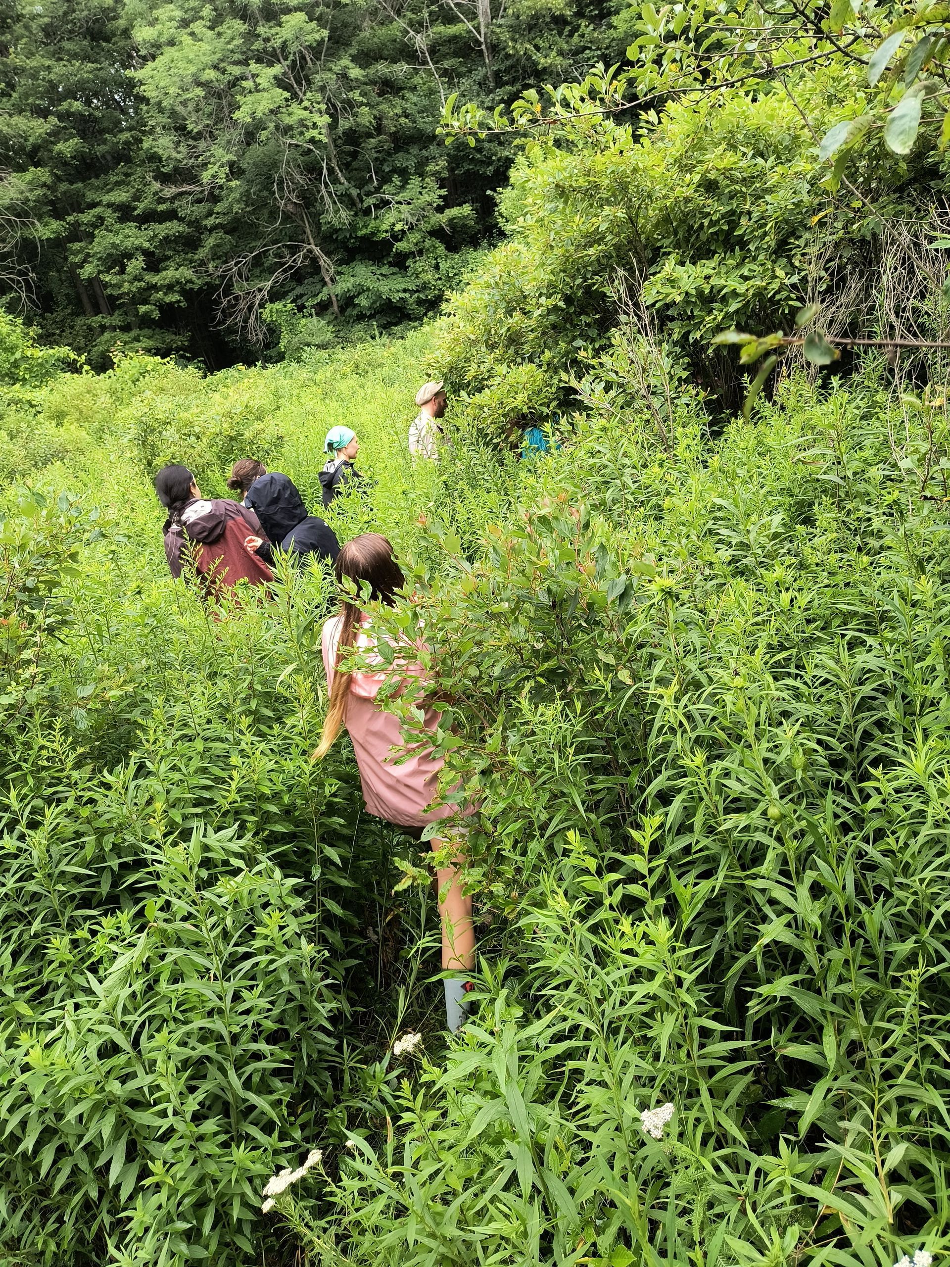 Teachers hike through meadow during professional development with the Association for Nature-Based Education.
