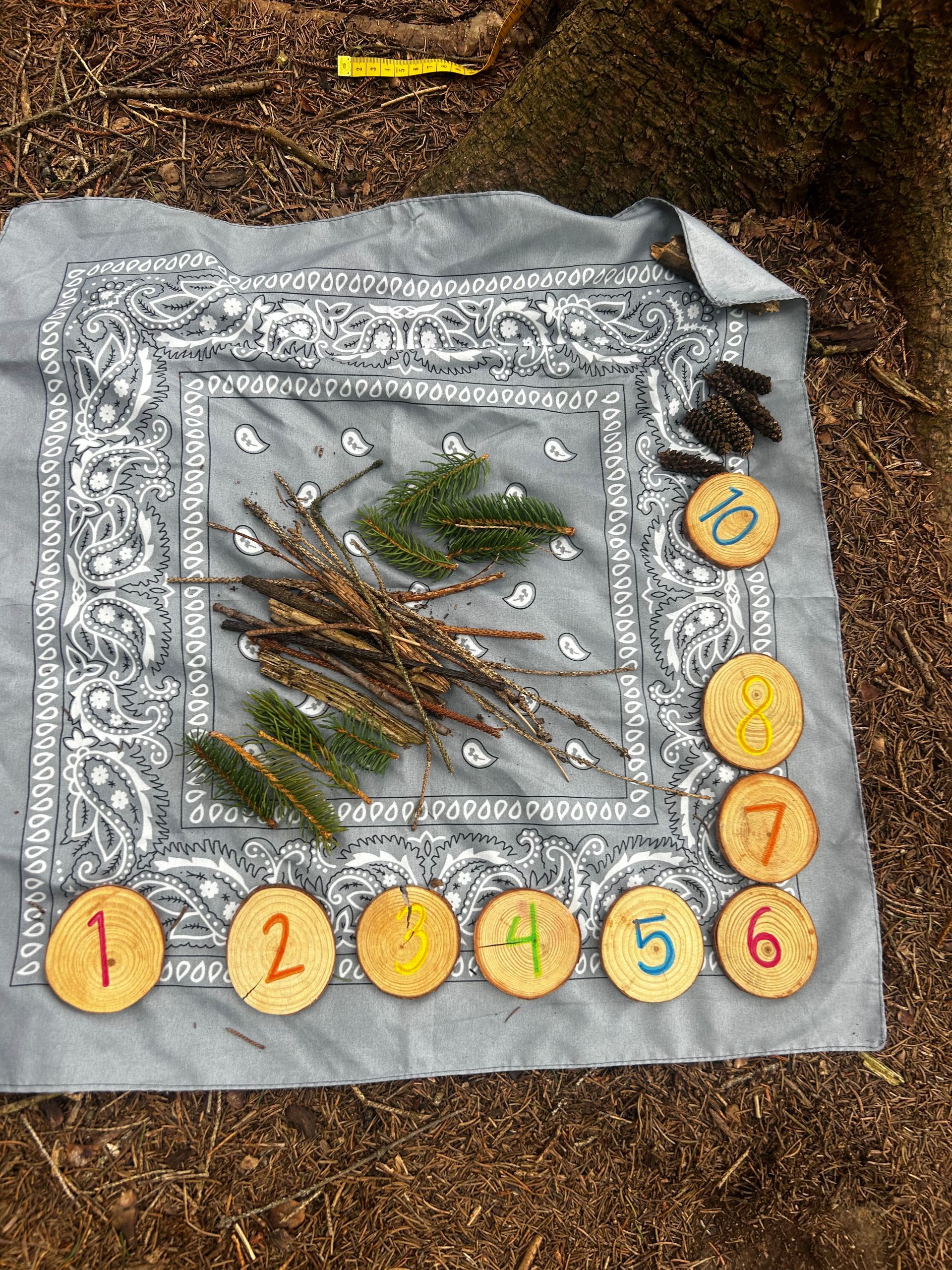 Tree cookies are labeled with numbers and arranged on a bandana with natural loose parts during a teacher training with the Association for Nature-Based Education.