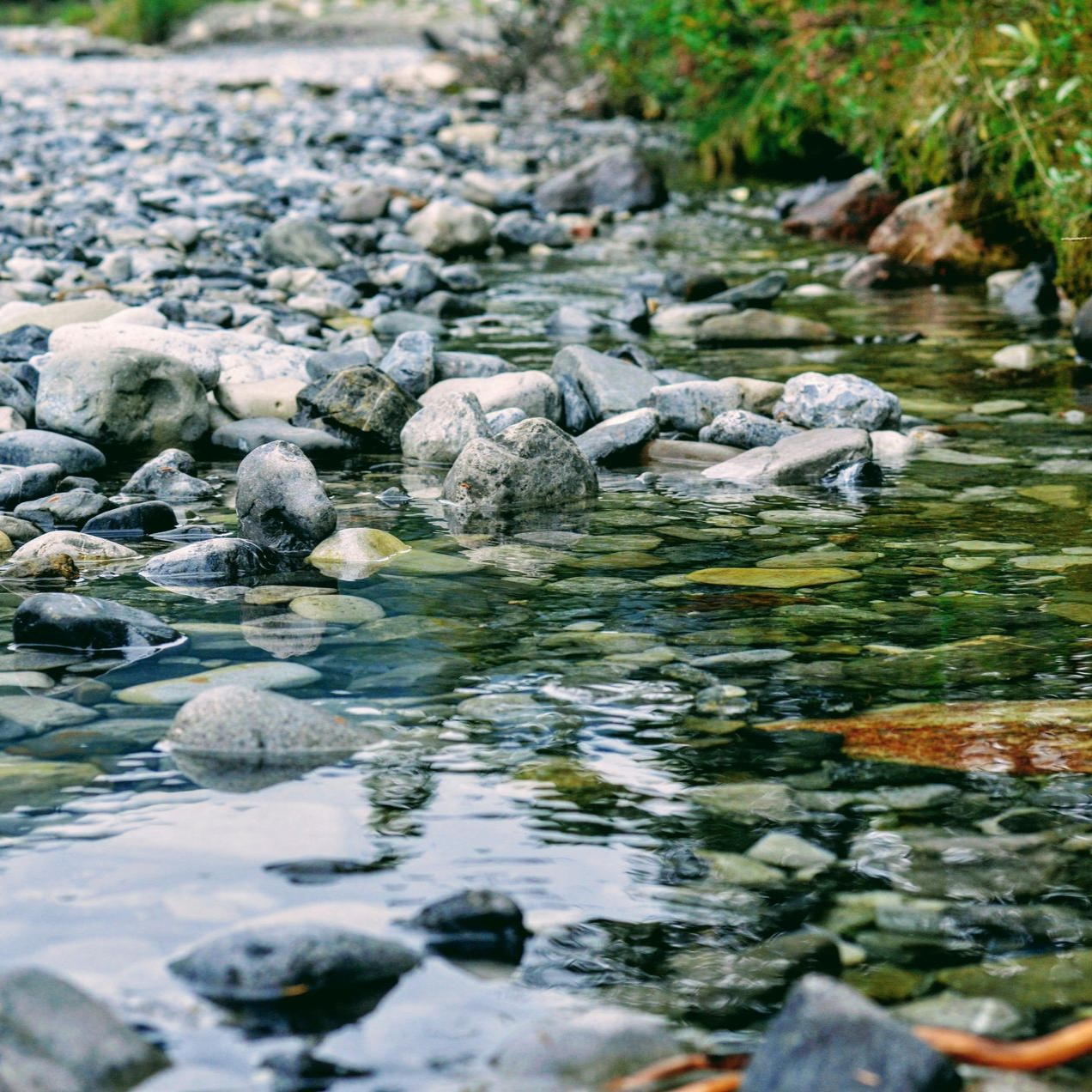 Stream bed lined with stones and reflection.