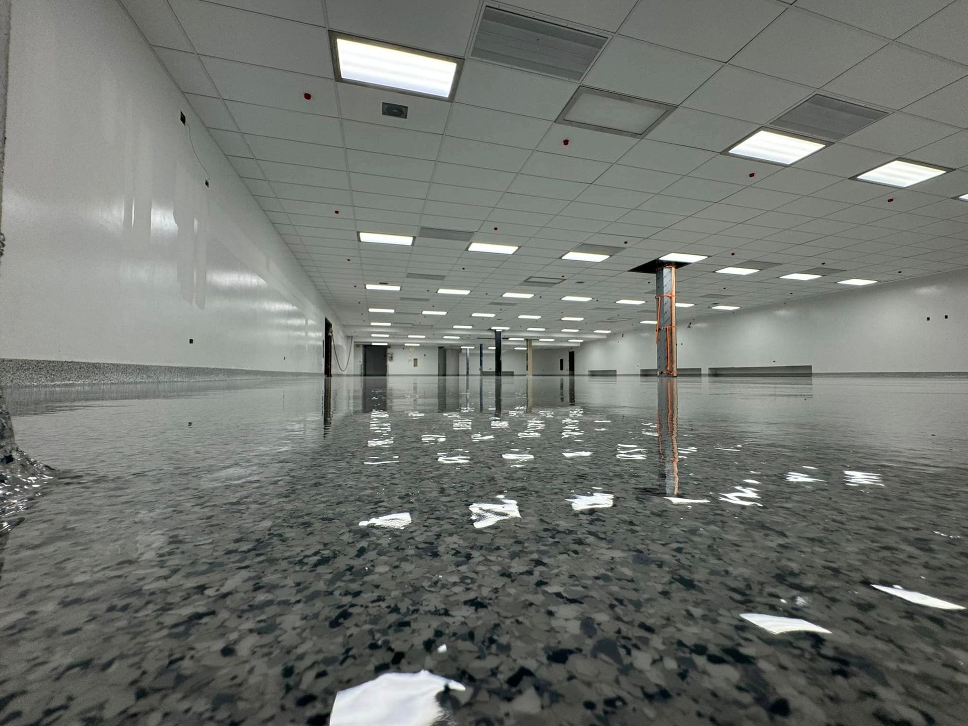 Flake epoxy flooring.