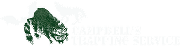 Green raccoon logo with text: Hammersley's Trapping Service.