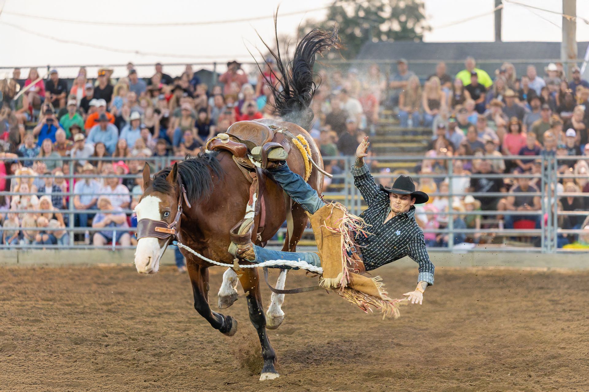 Rodeo Photos
