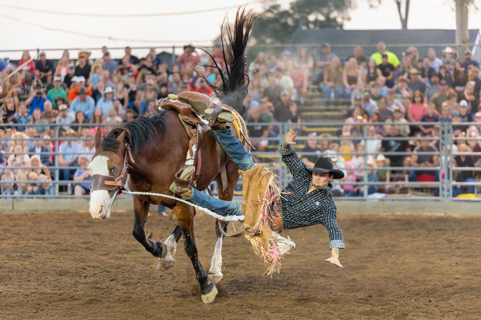 Rodeo Photos