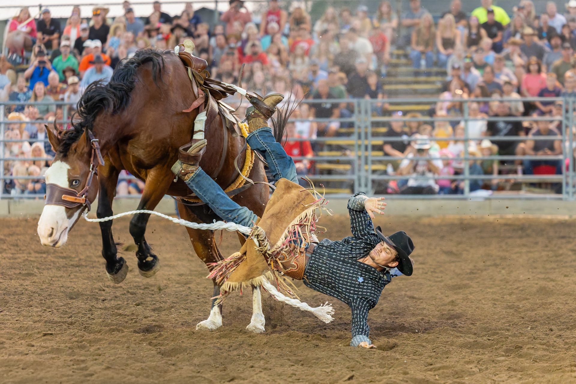 Rodeo Photos