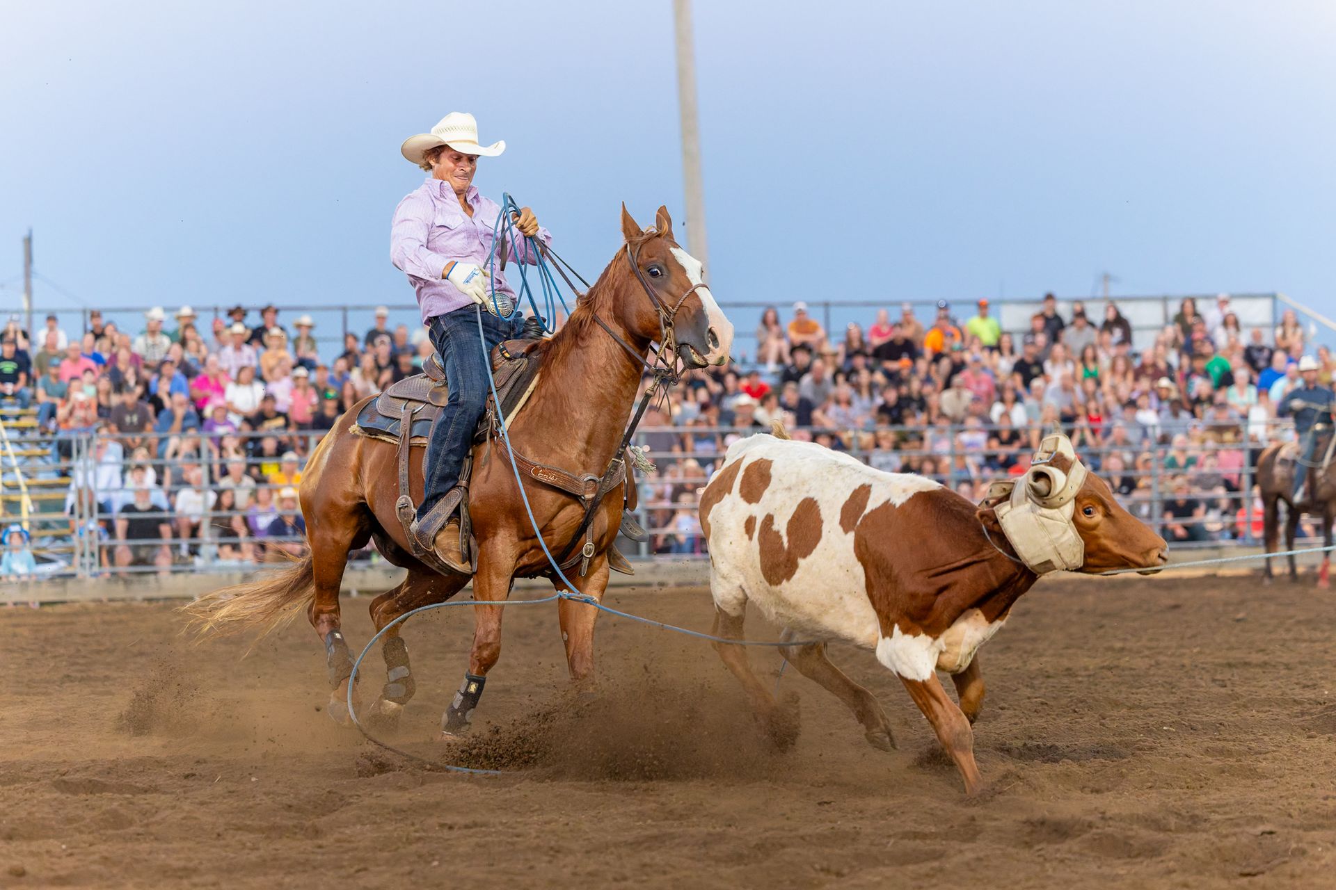 Rodeo Photos
