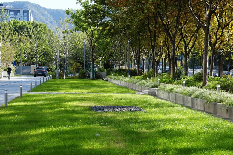 Sunny park with a green lawn, trees, walkway, and distant mountains.