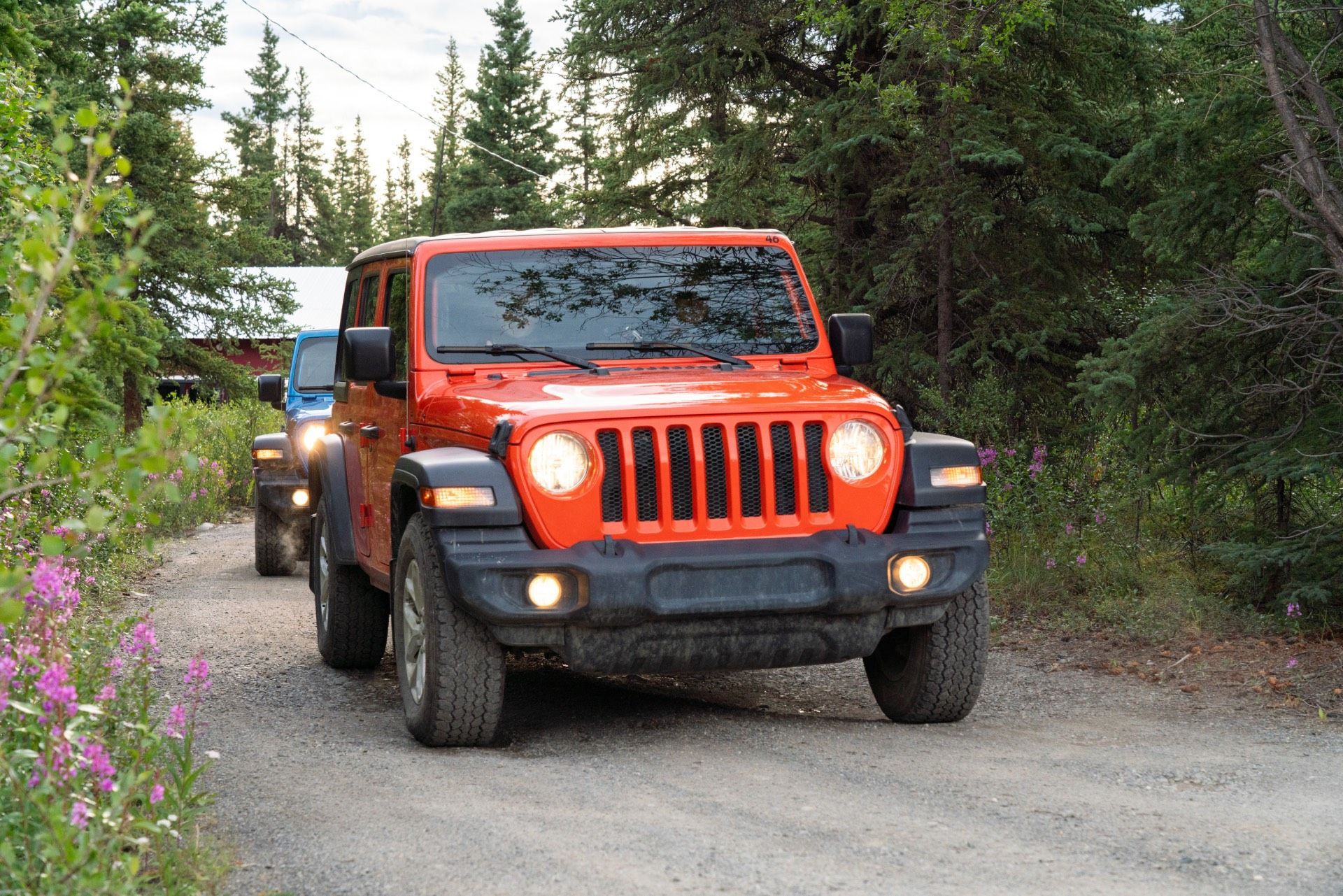 Two orange off-road jeeps driving on a gravel road through a wooded area