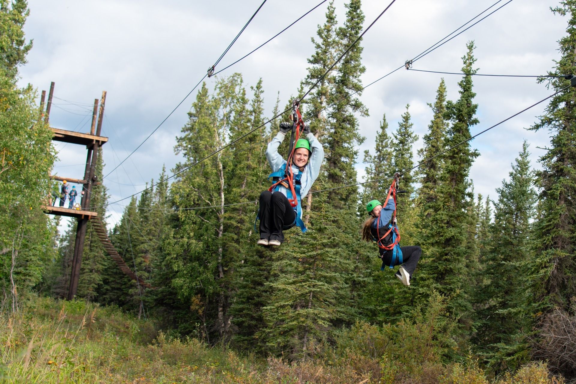 Three people ziplining through a pine forest, wearing helmets and harnesses.