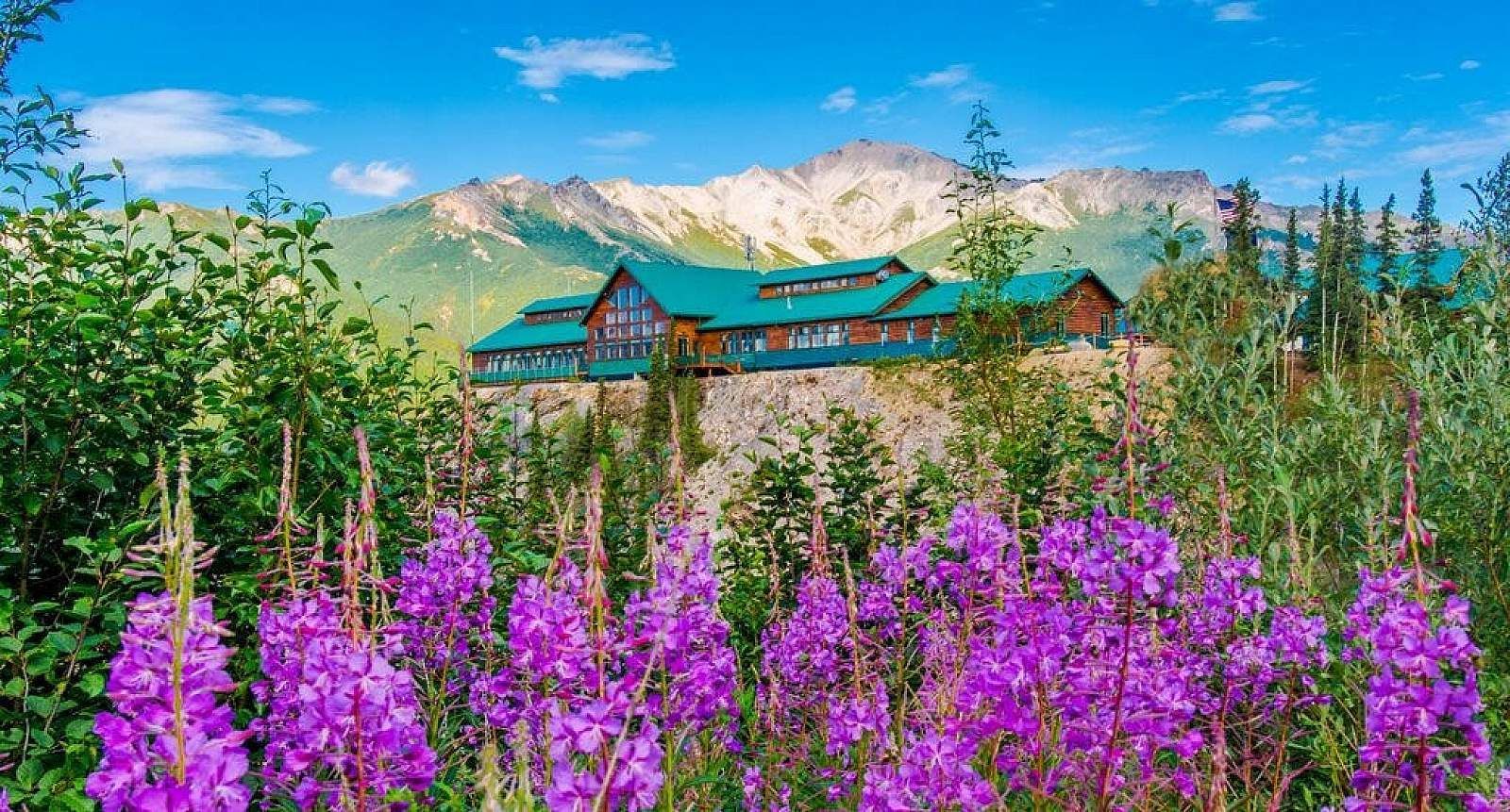 Mountain lodge behind purple wildflowers with green trees and snow-capped peaks under a blue sky