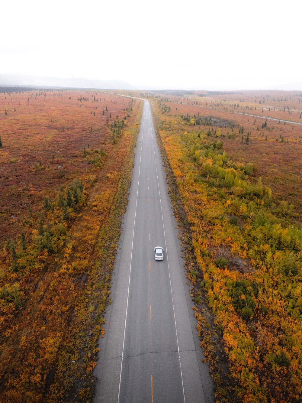 A lone car on a straight road through autumn-colored forest under a hazy sky.